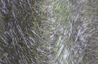 Howbeck Bank fibreglass roof work